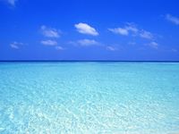 mare