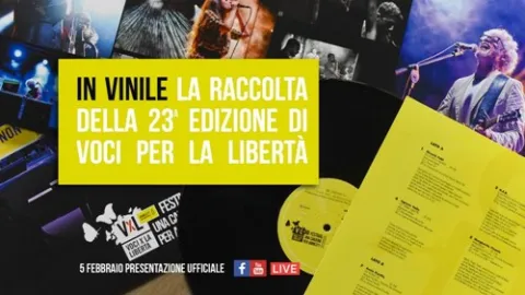 VxL vinile